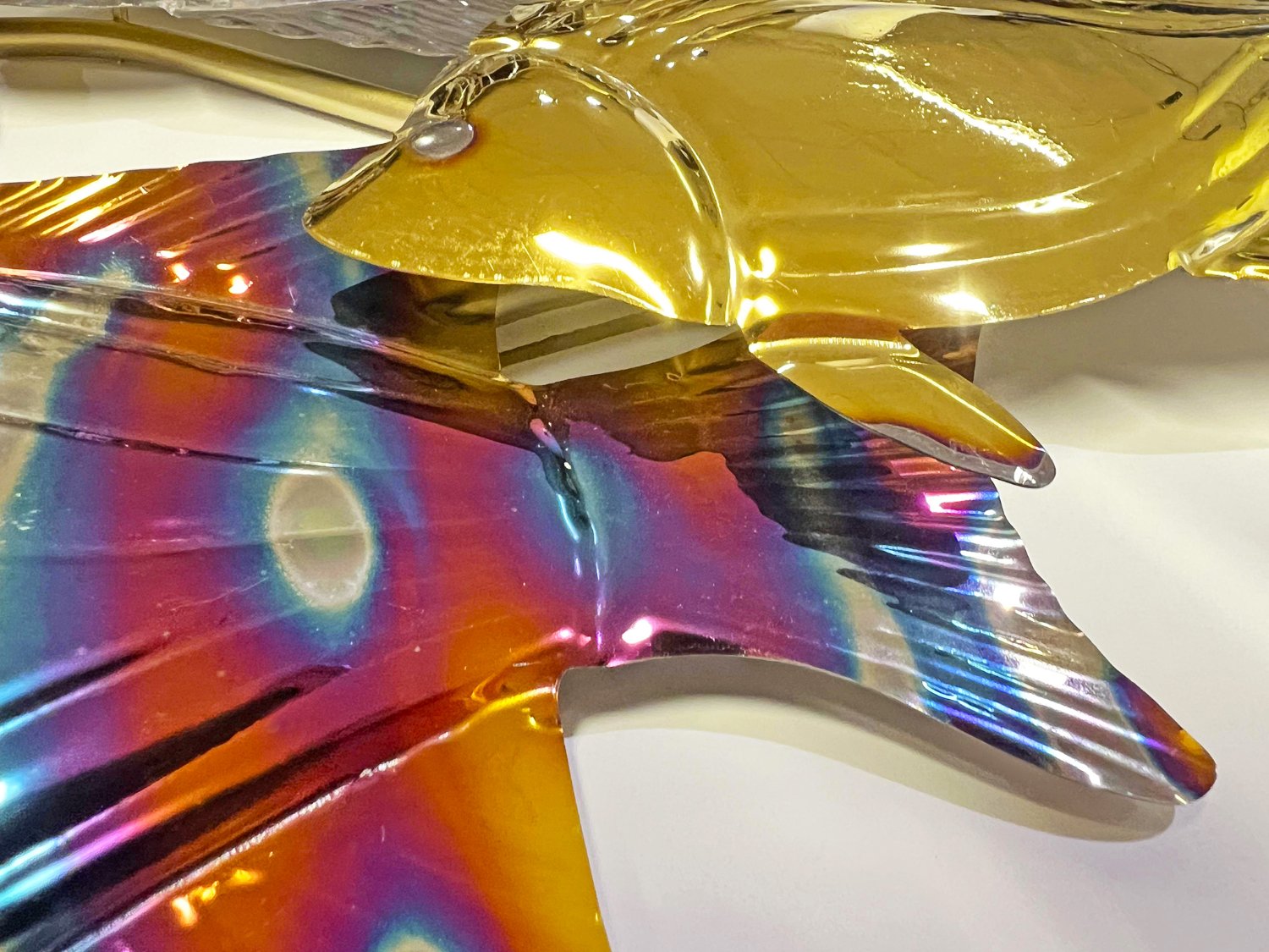 Mooie maanvissen - 99x37 cm